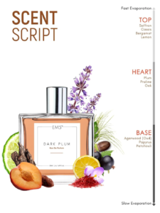 Choosing Your Signature Scent – Vanilla Noir vs Rare vs Dark Plum